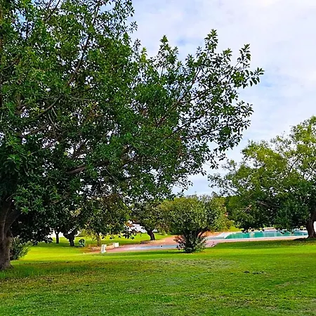 Vilanova, T0 - Modern Flat At Oura On The Strip With Balcony With View To The Pool, Pool Access, Lift And Air Conditioning Albufeira